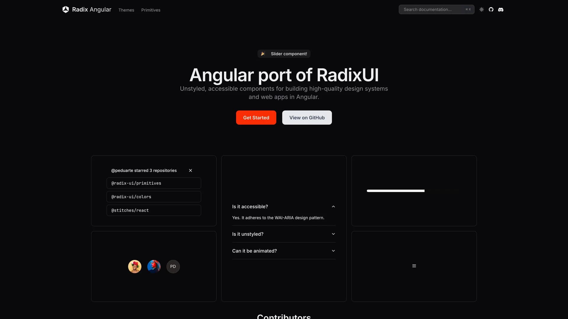 Radix NG Primitives - shadcn/ui template screenshot showing the main interface